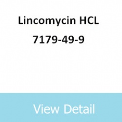 Lincomycin HCL