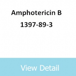 Amphotericin B